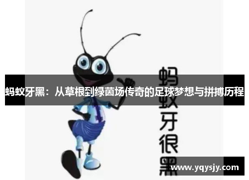 蚂蚁牙黑：从草根到绿茵场传奇的足球梦想与拼搏历程