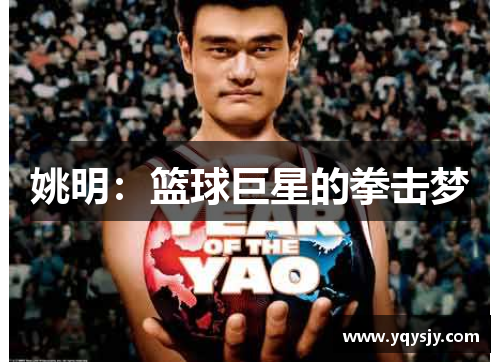 姚明：篮球巨星的拳击梦