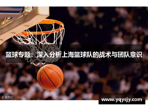 篮球专题：深入分析上海篮球队的战术与团队意识
