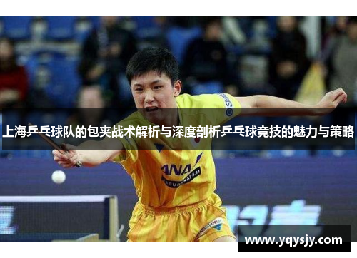 上海乒乓球队的包夹战术解析与深度剖析乒乓球竞技的魅力与策略