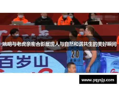 姚明与老虎亲密合影展现人与自然和谐共生的美好瞬间