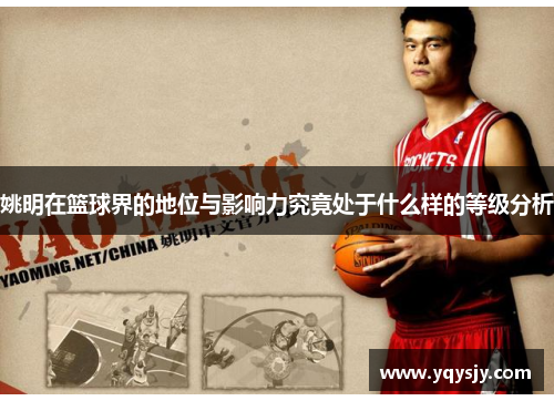 姚明在篮球界的地位与影响力究竟处于什么样的等级分析